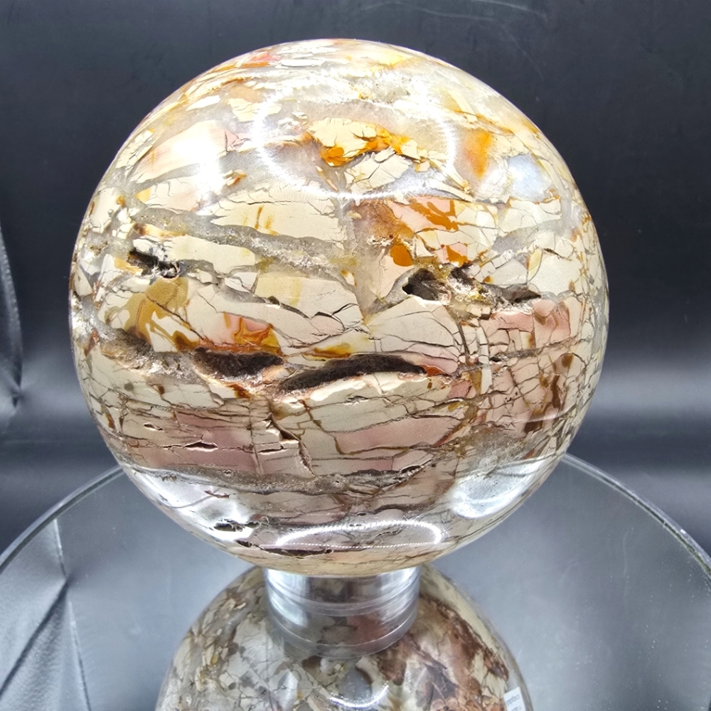 Ibis Jasper Sphere Madagascar